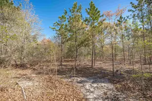 1404 Mt Zion Rd, Cassatt, SC 29032 - Photo 7