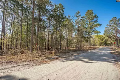 1404 Mount Zion Road, Cassatt, SC 29032 - Photo 9