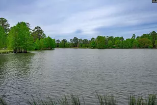 122 Runnymede Blvd, Sumter, SC 29153 - Photo 57