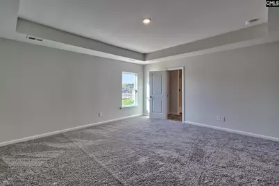 193 Calm Citadel Drive, Pelion, SC 29123 - Photo 13