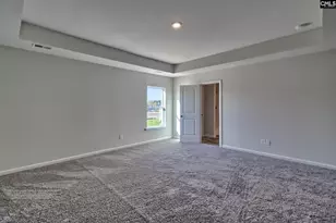 193 Calm Citadel Dr, Pelion, SC 29123 - Photo 13