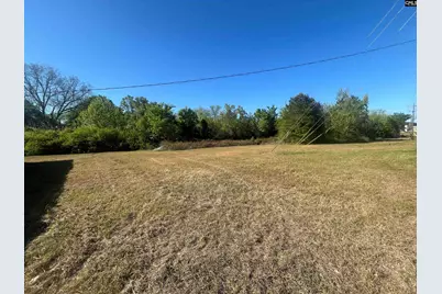 174 Harry C Raysor Drive, Saint Matthews, SC 29135 - Photo 3