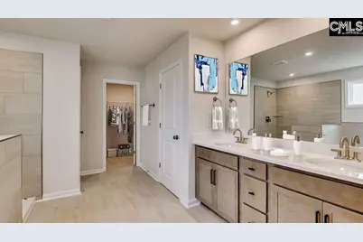 20 Spider Web Court, Blythewood, SC 29016 - Photo 47