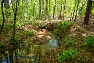 102 Warner Woods Rd, Lexington, SC 29072 - Photo 37