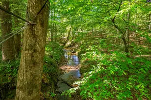 102 Warner Woods Rd, Lexington, SC 29072 - Photo 35