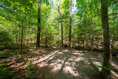 102 Warner Woods Road, Lexington, SC 29072 - Photo 39