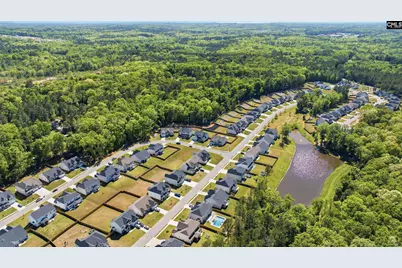 514 Wild Ginger Loop, Irmo, SC 29063 - Photo 51