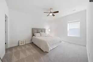 514 Wild Ginger Loop, Irmo, SC 29063 - Photo 35