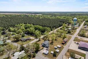 311 Camelia St, North, SC 29112 - Photo 59