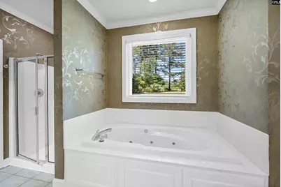 2 Hilton Glen Court, Chapin, SC 29036 - Photo 13