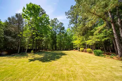 2 Hilton Glen Court, Chapin, SC 29036 - Photo 5