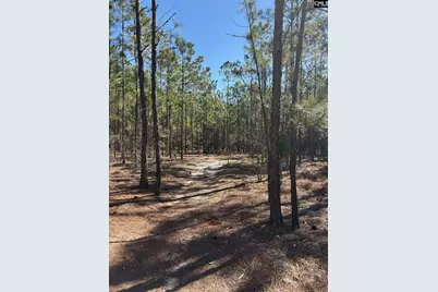 0 0 East Old Camden Hwy, Darlington, SC 29550 - Photo 7