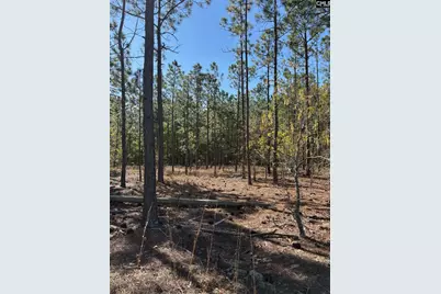 0 0 East Old Camden Hwy, Darlington, SC 29550 - Photo 9