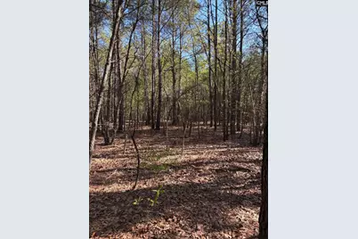 0 0 East Old Camden Hwy, Darlington, SC 29550 - Photo 3