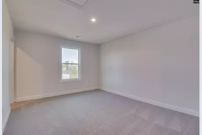 605 Basalt Court, Chapin, SC 29036 - Photo 27