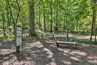 605 Basalt Court, Chapin, SC 29036 - Photo 41