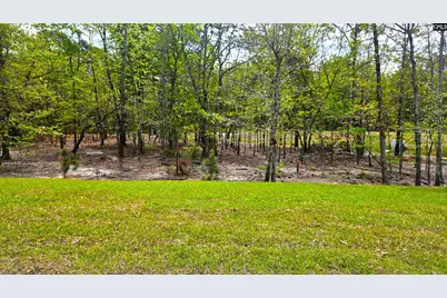 306 Frog Leap Road, Blythewood, SC 29016 - Photo 5