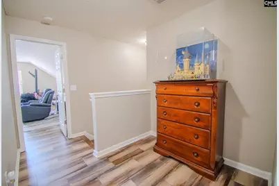 341 Foxport Drive, Chapin, SC 29036 - Photo 23