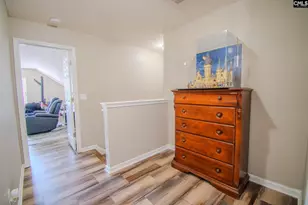 341 Foxport Dr, Chapin, SC 29036 - Photo 23