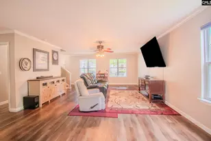 341 Foxport Dr, Chapin, SC 29036 - Photo 15
