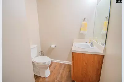 341 Foxport Drive, Chapin, SC 29036 - Photo 21