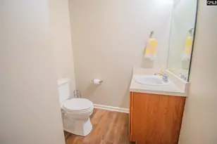 341 Foxport Dr, Chapin, SC 29036 - Photo 21