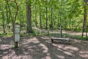 617 Basalt Ct, Chapin, SC 29036 - Photo 41