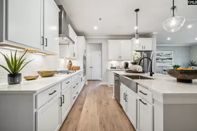 704 Feldspar Court, Chapin, SC 29036 - Photo 3