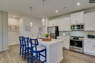 708 Feldspar Ct, Chapin, SC 29036 - Photo 15