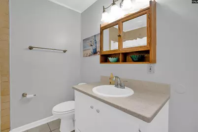 152 Toucan Way, Lexington, SC 29073 - Photo 19