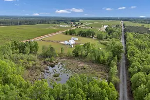 5474 Sc Hwy 23, Johnston, SC 29832 - Photo 85