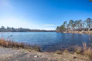 213 Golden Fluke Dr, Lexington, SC 29072 - Photo 35