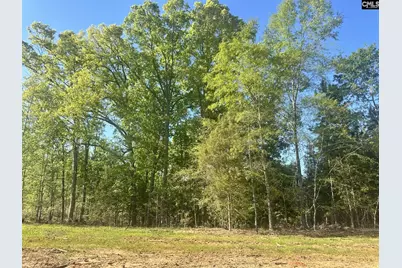 0 Livingston Road, Pomaria, SC 29126 - Photo 5