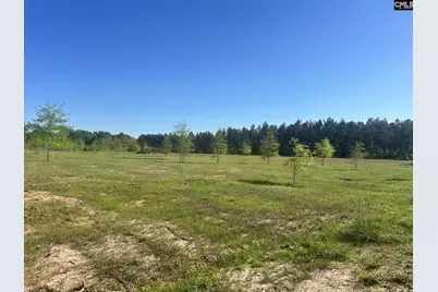 2145 Livingston Road, Pomaria, SC 29126 - Photo 3