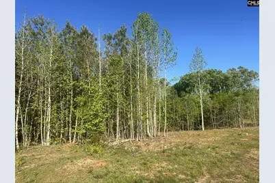 2145 Livingston Road, Pomaria, SC 29126 - Photo 1