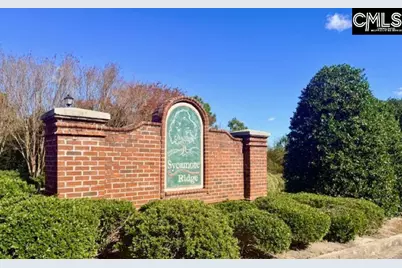 211 Pinebluff Court, West Columbia, SC 29170 - Photo 43