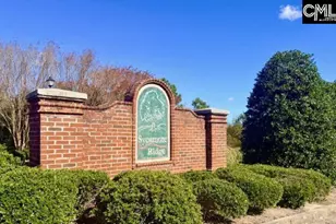 211 Pinebluff Ct, West Columbia, SC 29170 - Photo 43