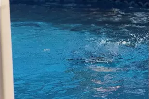 85 Planters Dr, Sumter, SC 29150 - Photo 43