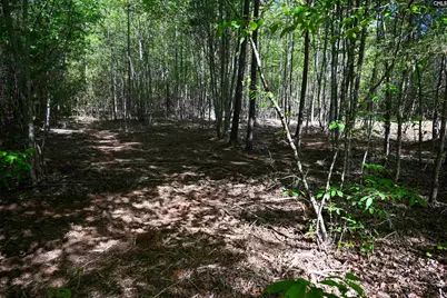 Tbd Spalding Drive, Blackstock, SC 29014 - Photo 27