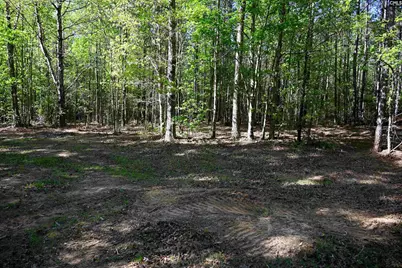 Tbd Spalding Drive, Blackstock, SC 29014 - Photo 17