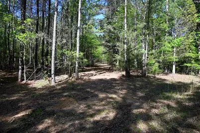 Tbd Spalding Drive, Blackstock, SC 29014 - Photo 13