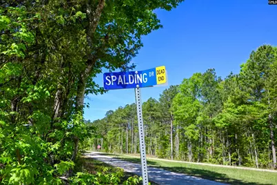 Tbd Spalding Drive, Blackstock, SC 29014 - Photo 17