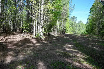 Tbd Spalding Drive, Blackstock, SC 29014 - Photo 19