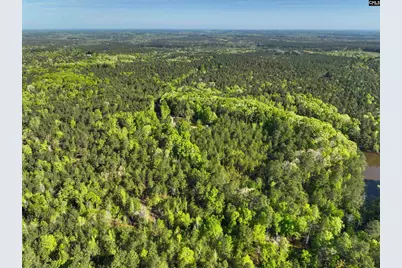 Tbd Spalding Drive, Blackstock, SC 29014 - Photo 9
