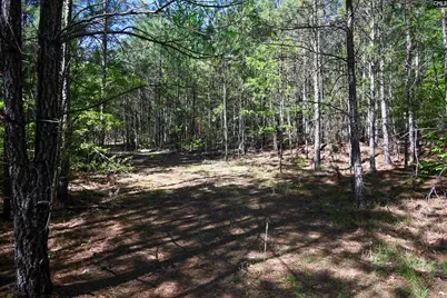 Tbd Spalding Drive, Blackstock, SC 29014 - Photo 21