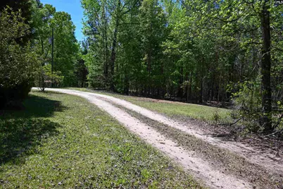 Tbd Spalding Drive, Blackstock, SC 29014 - Photo 13