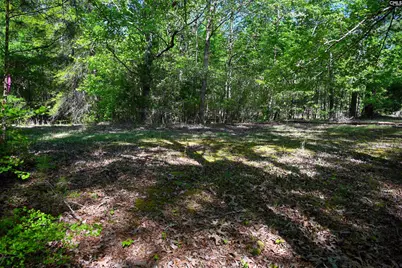 Tbd Spalding Drive, Blackstock, SC 29014 - Photo 23