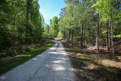 Tbd Spalding Drive, Blackstock, SC 29014 - Photo 1