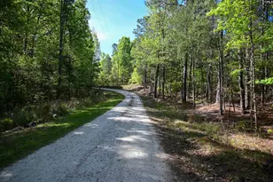 Tbd Spalding Dr, Blackstock, SC 29014 - Photo 1