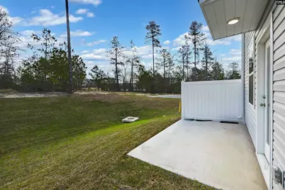 300 Frog Leap Road, Blythewood, SC 29016 - Photo 3